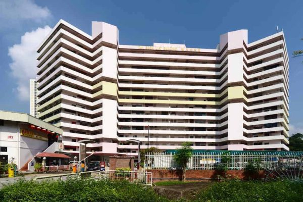 Tan Boon Liat Building near River Green and Zion Road Condo 1 1